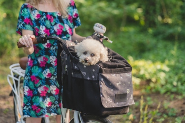 Рюкзак-переноска для собак та котів (для поїздок на велосипеді)