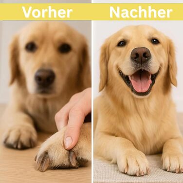 Набір для догляду за кігтями собак Premium, електричний точило з 3 рівнями швидкості, з ножицями для кігтів, безпечний та безстресовий догляд за улюбленцем (1 шт.)