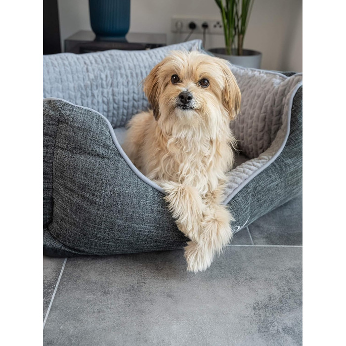 TrendPet VitaBed сірий - ортопедичне преміум-ліжко для собак з матрацом з 5 см Memory Foam (80x70 см)