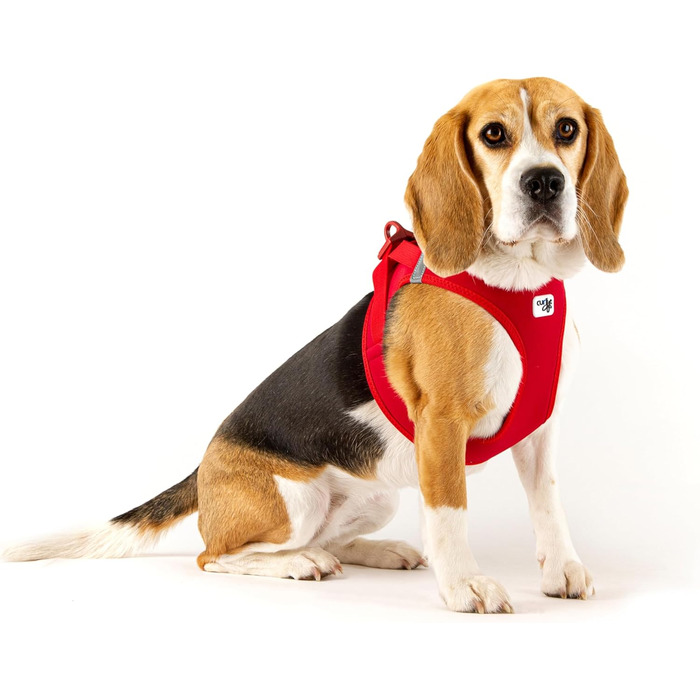 Шлейка для собак Curli Clasp Softshell, червона, розмір M