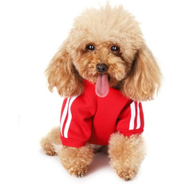 Теплий пуловер з капюшоном для собак, Чіхуахуа, великий розмір XXL, червоний