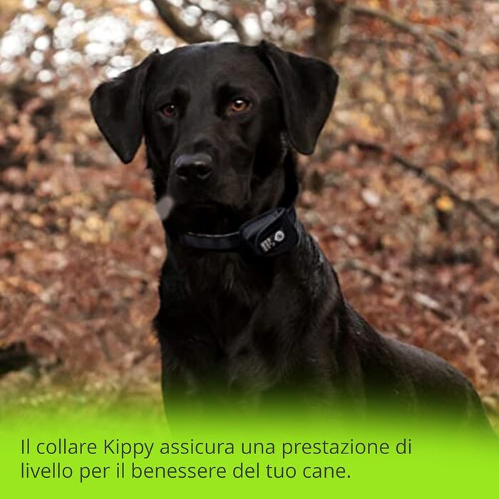 Нашийник для собак Кіппі EVO, світловідбиваючий, для маленьких порід, м'який та зручний, розмір L