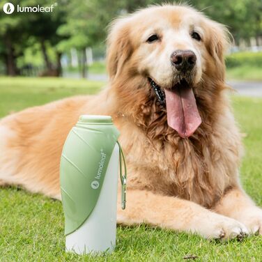 LumoLeaf Ізольована термофляга для собак, 800 мл - Зберігає воду холодною або теплою годинами, міцна та портативна для подорожей, широке горлечко для зручного наповнення та миття (Зелена, 800 мл)