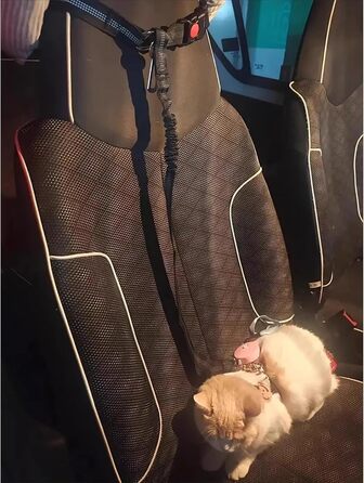 Авторемні безпеки для собак, 2 шт., регульовані, автокрісло для тварин, котів та собак (Чорний, 1 упаковка)