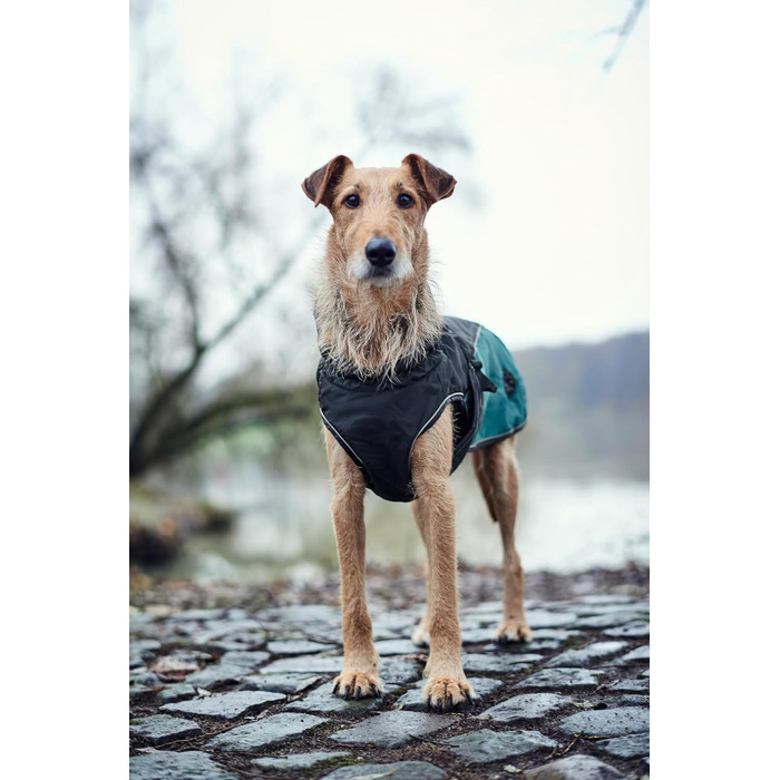 HUNTER Hundemantel Uppsala Allrounder: водонепроникний, вітрозахисний, знімний підклад, розмір 35, антрацит/петроль