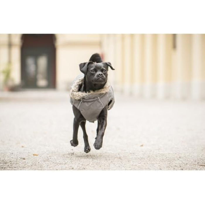 Теплий зимовий пуховик для собак Chiara з шлейкою, сірий, розмір L, з відбиваючими смугами та штучним хутром