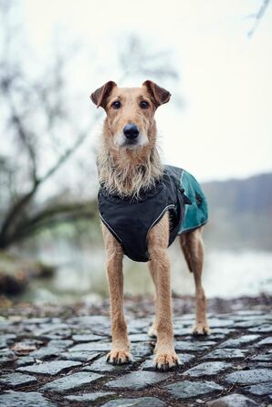 HUNTER Hundemantel Uppsala Allrounder: водонепроникний, вітрозахисний, знімний підклад, розмір 35, антрацит/петроль