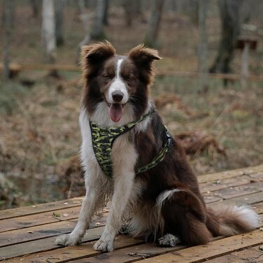 Регульована шлейка для собак QQPETS з двома карабінами, м'яка, з відбивачами, оксфордська, з ручкою для контролю, для малих і великих собак