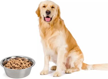 Набори мисок для собак та котів DEAYOU з нержавіючої сталі (4 шт.), 21 см, 1.3 л