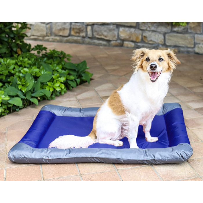 Водонепроникний килимок для собак та котів Sogni e Capricci, поліестер, 55x38 см, світло-блакитний