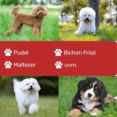 Ножиці для собак EHASO, нержавіючі, 20 см, матові