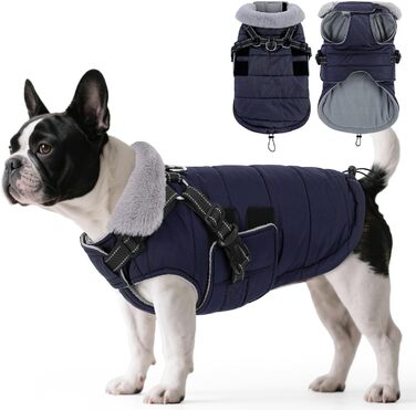 Зимовий одяг для собак ASENKU: теплий, водонепроникний, вітрозахисний, з світловідбиваючими елементами. Підходить для малих, середніх та великих собак. Кольори: зелений (S), синій (S).