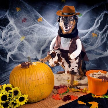 Костюм ковбоя для собак та котів Yewong, 2 шт. (капелюх + бандана)