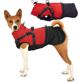 колір: гниль