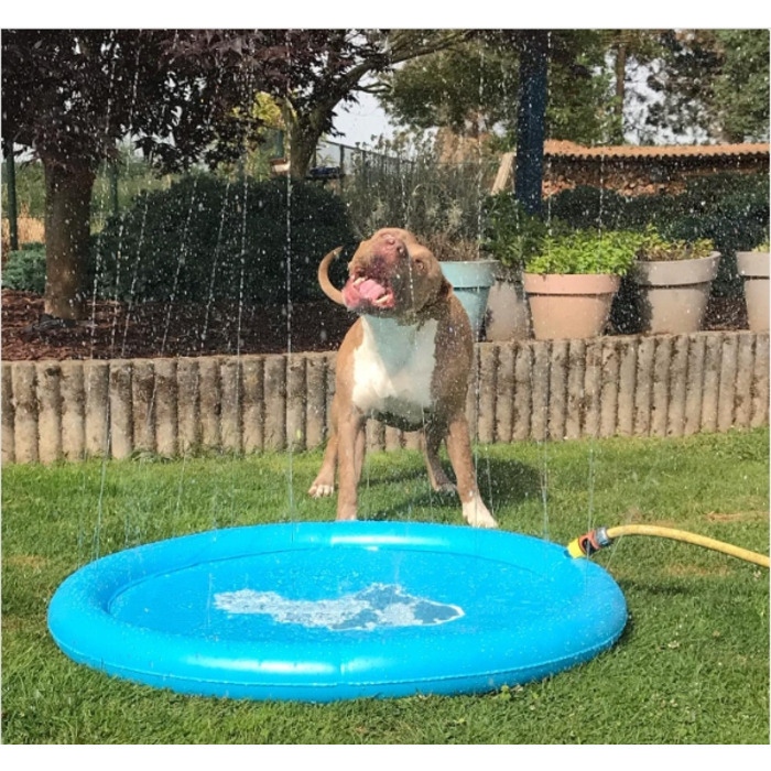 Басейн для собак CoolPets COOL0120