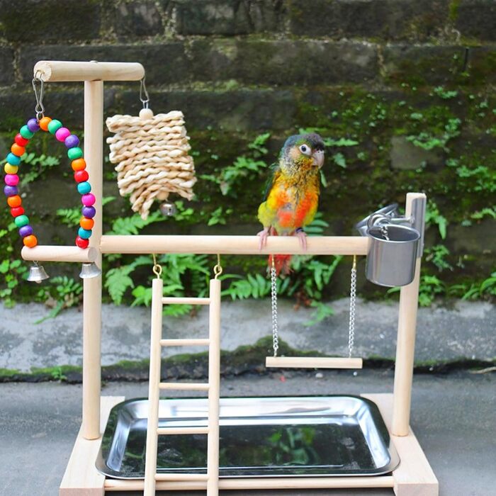 Ігровий комплекс Vogel Spielplatz для хвилястих попугаїв, з нержавіючою чашкою-годівницею, драбиною та підсідалом