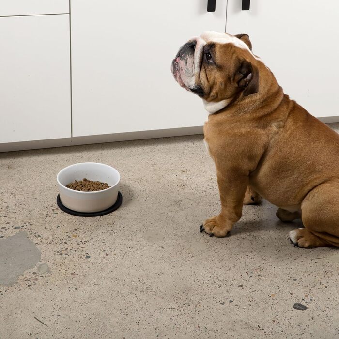 Silikonova Maty dlya Sobak Waggo Habit - 2 шт. (Маленька, Біла) - Для малих, середніх та великих порід. Легко миються в посудомийній машині.