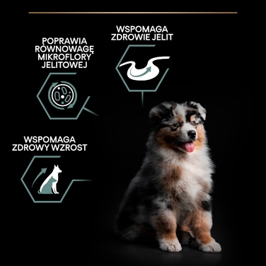 Корм PRO PLAN Puppy для цуценят середніх порід із чутливим травленням, ягня, 3 кг