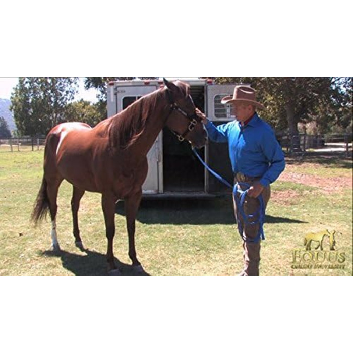 Повідок для собак Monty Roberts, нековзний, регульований