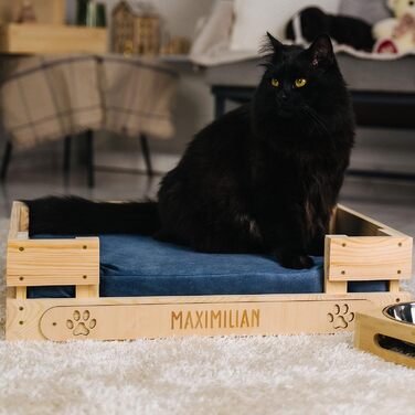 Персоналізоване ліжко для котів LAUBLUST з іменем - гравіювання лапок та імені - диван-ліжко для великих та маленьких котів | Диван-софа для кота - лежанка-платформа з дерева з подушкою | приблизно 60x40x15 см, коричневий (з блакитною подушкою)
