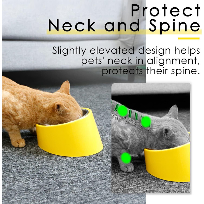 Нахилений годівниця для собак та котів SuperDesign 15°, Melamin, 300 мл, м'ятно-зелений