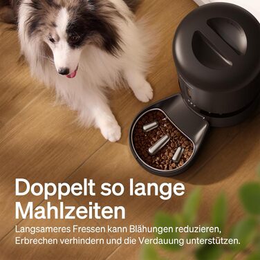 Автоматичний годувальник для котів та собак PETLIBRO з камерою 1080P, Wi-Fi 5G, нічним баченням та чашею Slow-Food, 5 л, Чорний