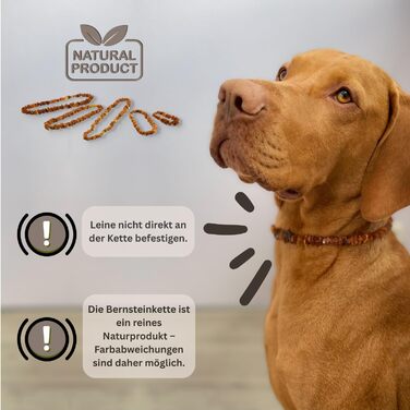 Намисто з бурштину для собак PetLove • 100% балтійський бурштин • Обов'язкове для собак та котів • Довжина: 50-55 см