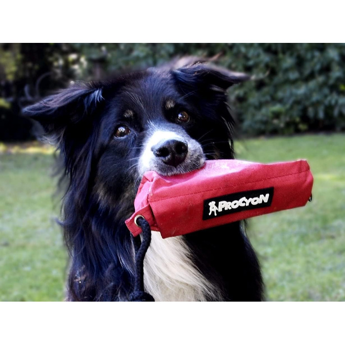 Набір з 3 мішечків для корму NATIV для собак, тренувальний апортний думмі, мішечок для ласощів