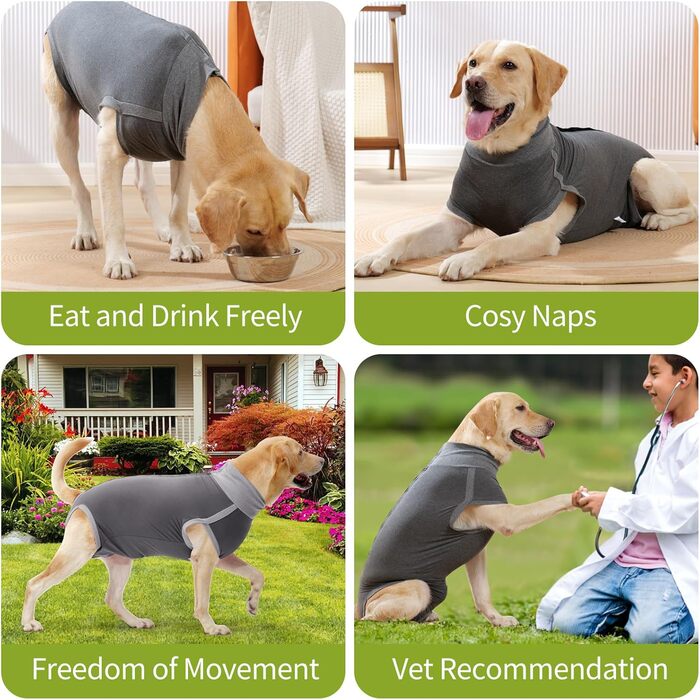 Комбінезон для собак після операцій Heywean – кастрація, стерилізація, післяопераційний одяг, сірий, L