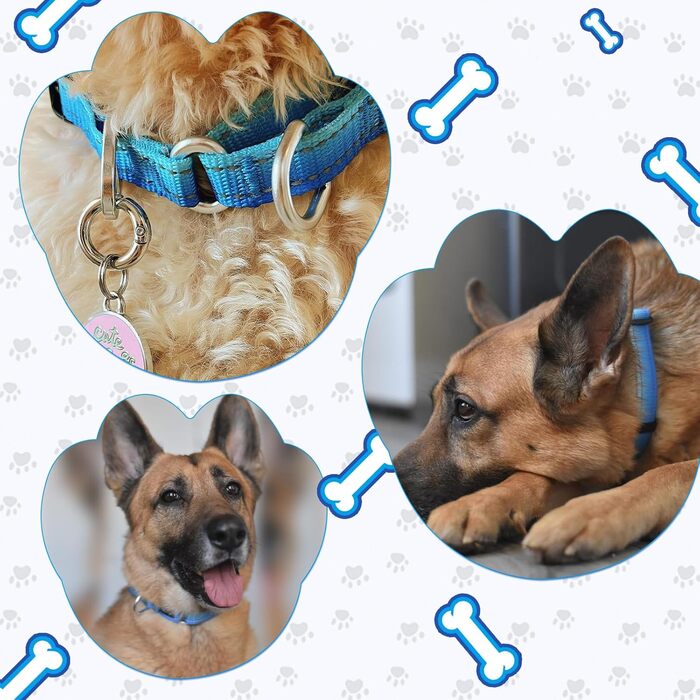 Нашийник для собак Martingale, світловідбиваючий, з зупиняючим ефектом, для великих, середніх та маленьких собак, нейлон, синій, розмір L