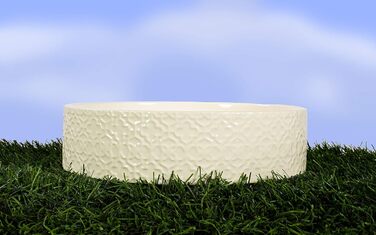 Великий керамічний миска для собак Kendra Scott, 1,4 л, для корму та води, миється в посудомийній машині, велика, 6 порцій