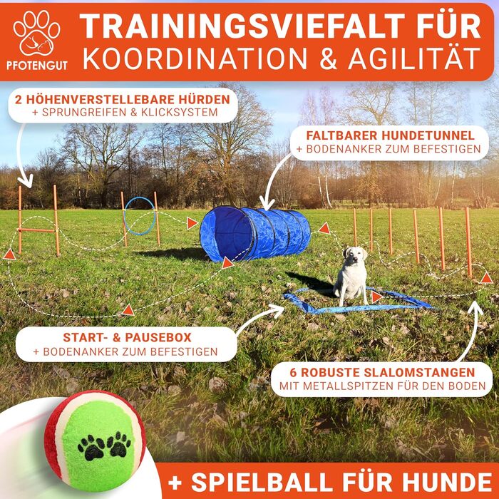 Набір для дресирування собак PfotenGUT® Agility Set [11 предметів] - універсальний набір для аджиліті з тунелем, слаломом та іншим обладнанням для тренування та спорту з собаками - з аксесуарами та сумкою для транспортування (Великий)
