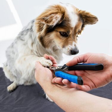 Набір для догляду за тваринами 7 предметів: щітка для шерсті, ножиці для шерсті, ножиці для кігтів, рукавичка для вичісування, щітка для ворсу, щипці для кліщів, для собак, котів, дрібних тварин