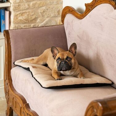 Килимок для собак Ferplast - лежанка-софа для середніх собак, двосторонній, з міцної та водонепроникної тканини, теплий мікрофліс, 65 x 48 x 3,5 см, бежевий