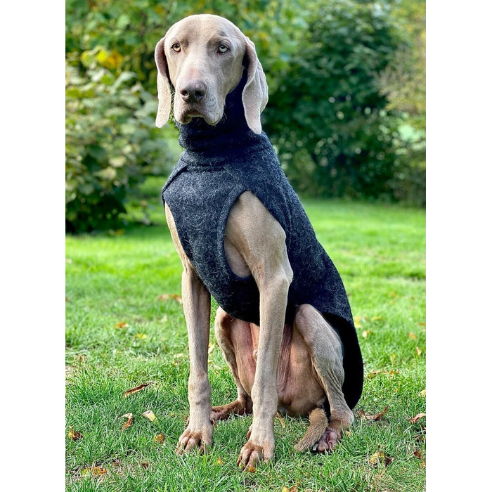 Теплий зимовий одяг для собак EDEL&SCHNELL: вовняна куртка з довгим коміром та світловідбиваючими елементами (65-70 см)