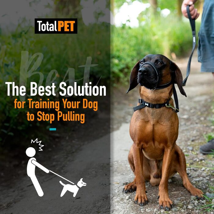Повідок для собак Total Pet, 8 шт, плоский, анти-ривковий, світловідбивний, з м'якою нашийною підкладкою, 180 см