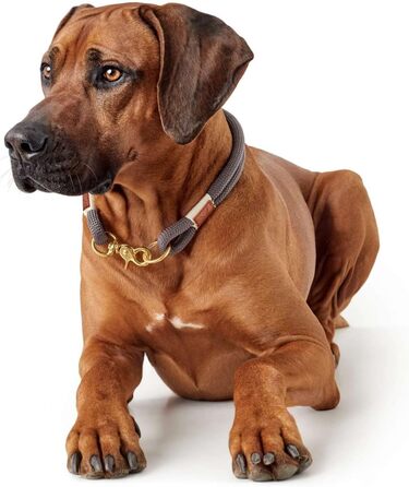 Нашийник для собак HUNTER Sansibar Rantum, сучасний, морський стиль, бежевий, розмір M-L