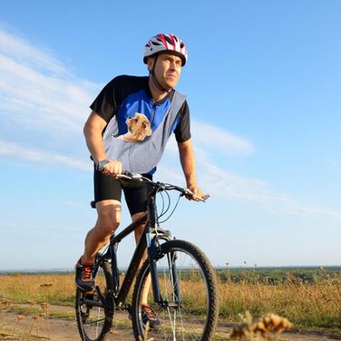 Сумка-кенгуру для собак NiCoLa: переноска для цуценят, чихуахуа, пуделів, бішон фрізе та інших домашніх тварин. Ідеально для прогулянок, подорожей та відвідування місць. Колір: сірий/чорний