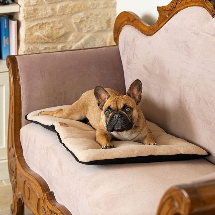 Килимок для собак Ferplast - лежанка-софа для середніх собак, двосторонній, з міцної та водонепроникної тканини, теплий мікрофліс, 65 x 48 x 3,5 см, бежевий