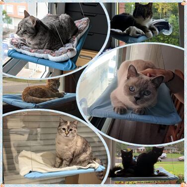 Кішка-гамак для вікна JinRui-T, лежанка для котів, безпечне сонячне ліжко з міцними присосками, кріпиться на вікно, витримує до 13,6 кг (Блакитний)