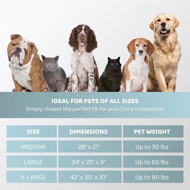 Розкішне ліжко для собак Modern Threads - м'яке, туфетоване ліжко з велюру для собак маленьких та великих порід. Машинне прання, довговічне та миле місце для сну вашого улюбленця.