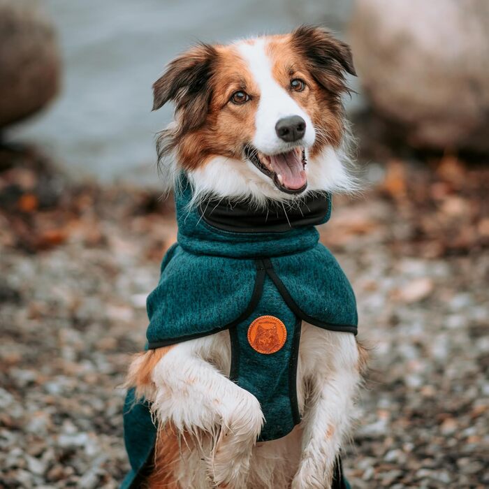 Wilderdog флісова куртка для собак з неопреновою манішкою, розмір L, блакитна