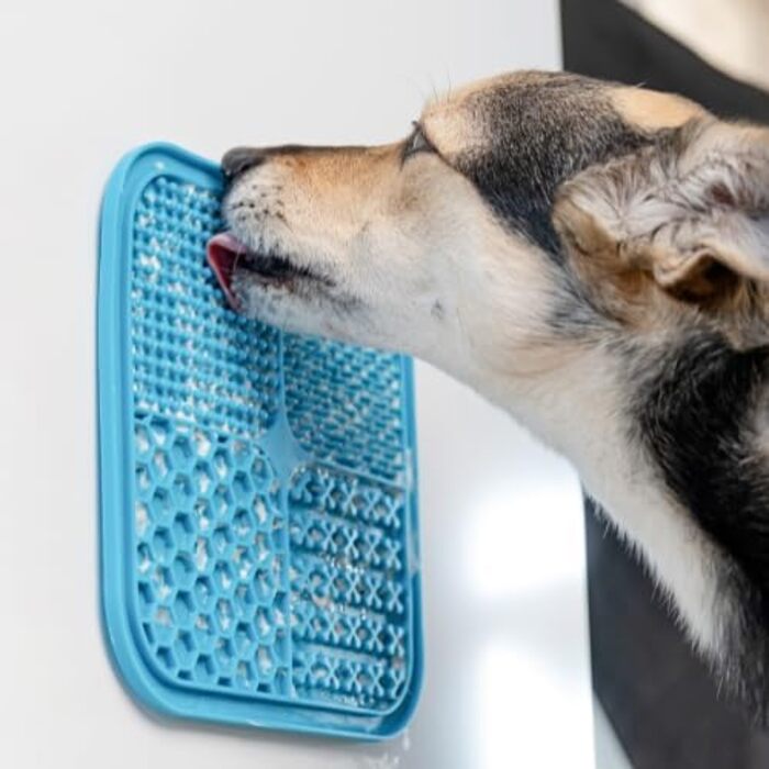 Лежак-іграшка для собак та котів BoneItUp - Slow Feeder, BPA-Free, для здорового травлення та чищення зубів, блакитний