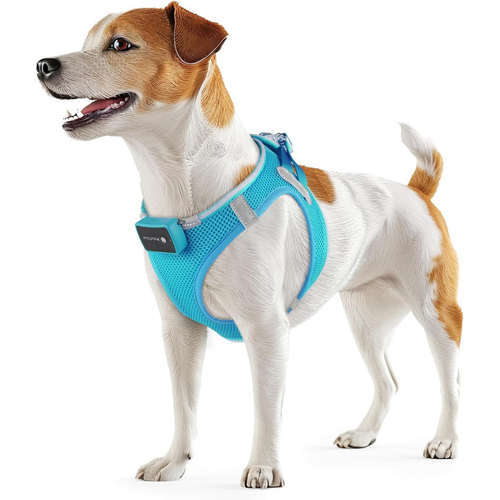 Світлодіодне нашийник для собак PcEoTllar: безпека та видимість у темряві (3 режими, S, блакитний)