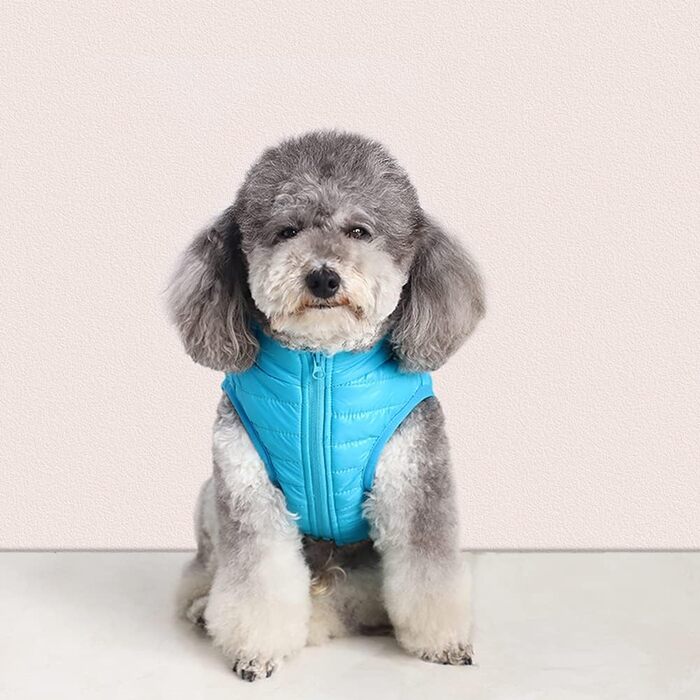 Зимовий одяг для собак: тепла куртка-жилетка з водонепроникним покриттям для маленьких та середніх собак (XS, синій)