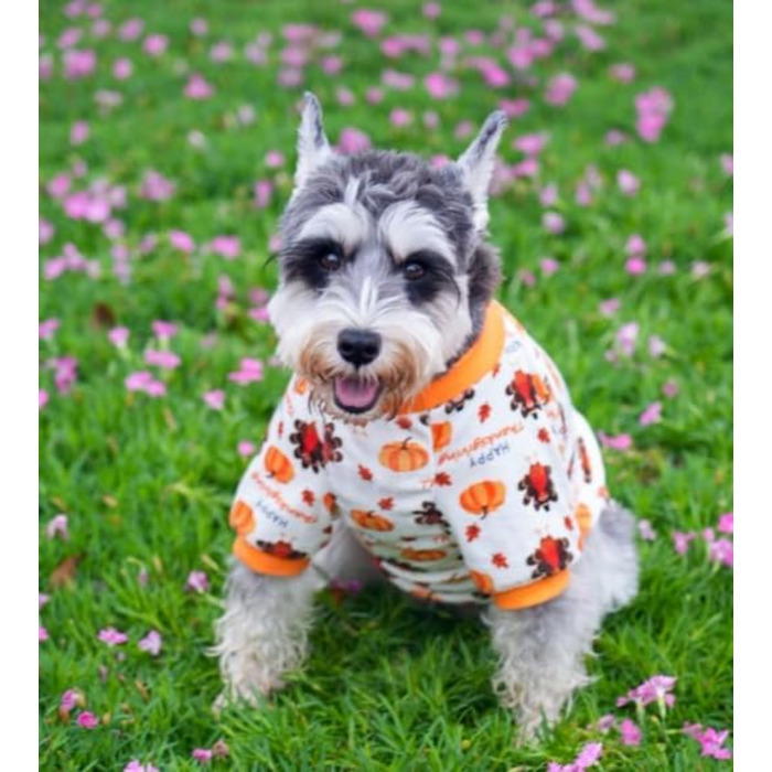 Піжама для собак з принтом черепа на Halloween, розмір XL, білий, костюм для собак, піжама-комбінезон, костюм для тварин