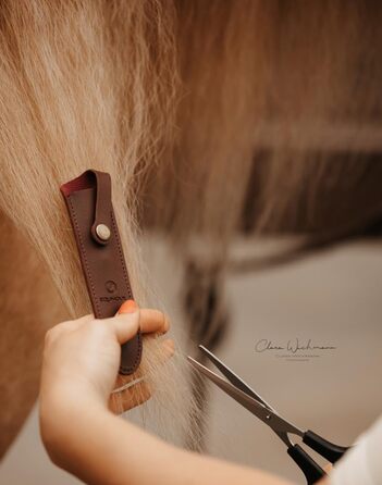 Набір ножиць для догляду за кіньми: ножиці для хвоста та гриви, з чохлом. Нержавіюча сталь, ергономічний дизайн, ідеально для догляду за хвостом та гривою.