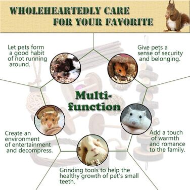 Іграшки для гризунів Goter: набір з 10 шт. з яблуневої деревини. Іграшки для хом'яків, щурів, шиншил. Натуральні ласощі та аксесуари для тварин.