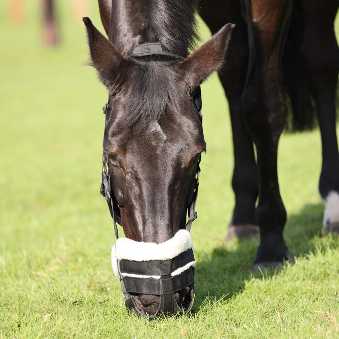 Корзина для коней Shires FreeGraze Airflow Weidemaulkorb, чорна, повна