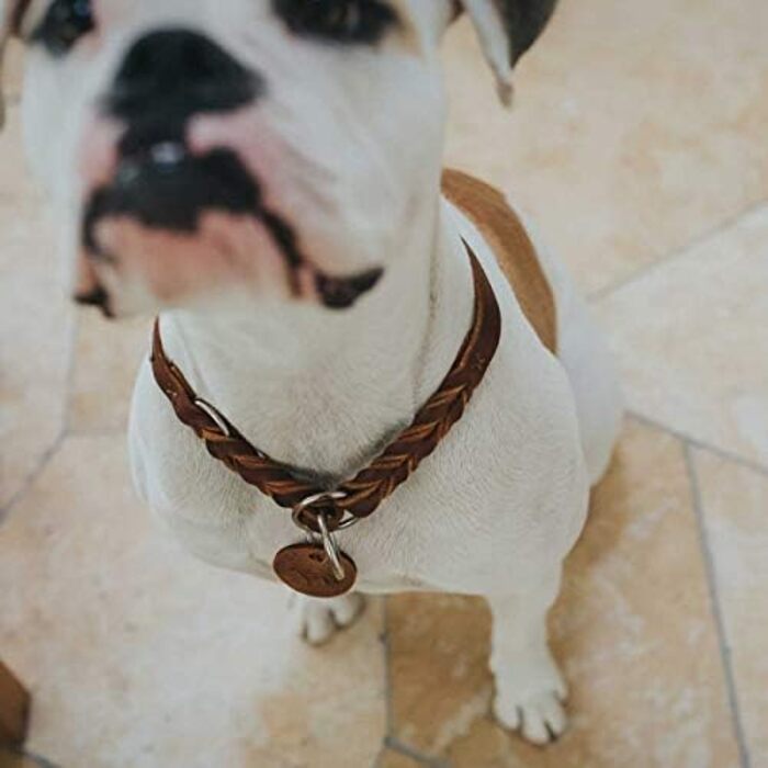 HUNTER Dressurhalsung SOLID EDUCATION: шкіряний сідловий ремінь для тренувань, колір cognac, розмір M-L, Made in Germany